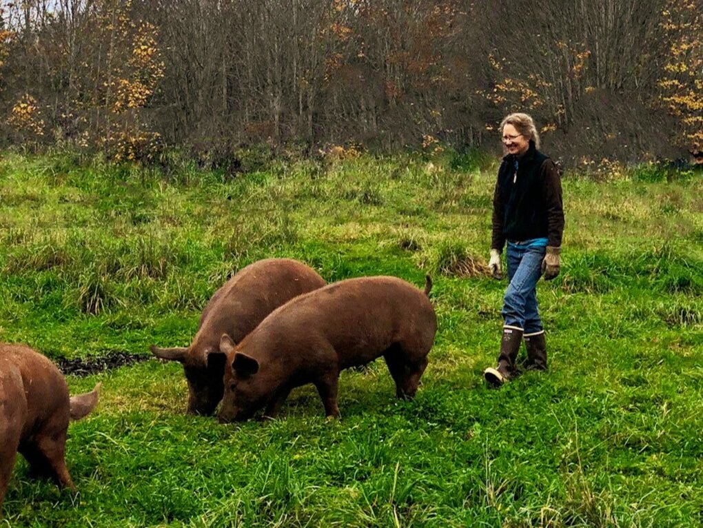 Wild Edge Farm